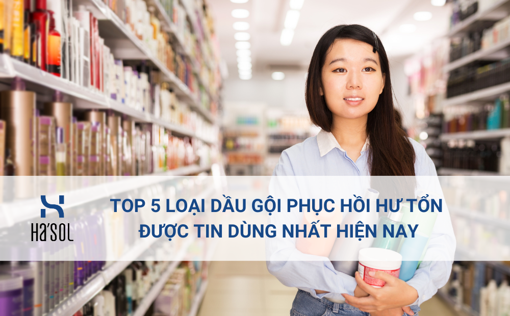 Top 5 loại dầu gội giúp phục hồi tóc hư tổn được tin dùng nhất hiện nay